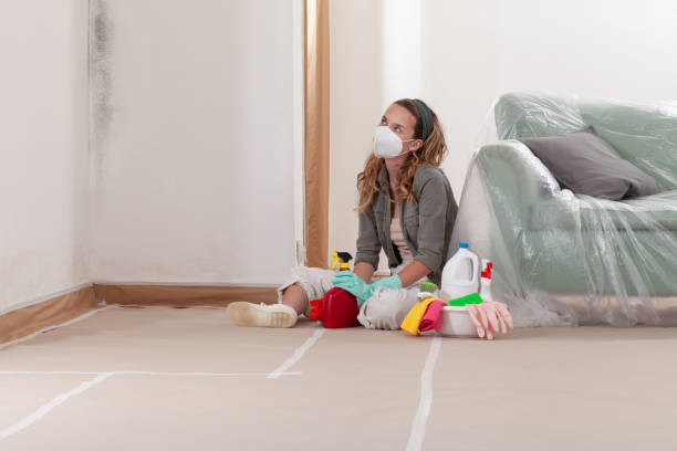 Reliable Mold Inspection And Testing contractor in Iselin, NJ by Mold Remediation HQ